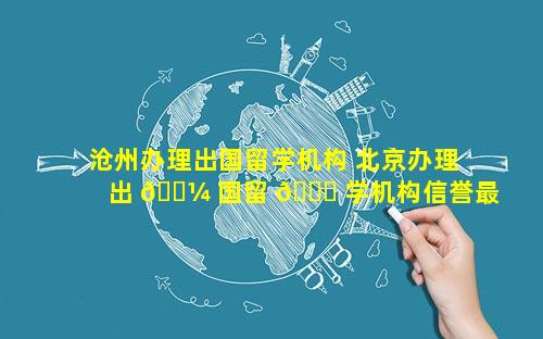沧州办理出国留学机构 北京办理出 🌼 国留 🐋 学机构信誉最好的